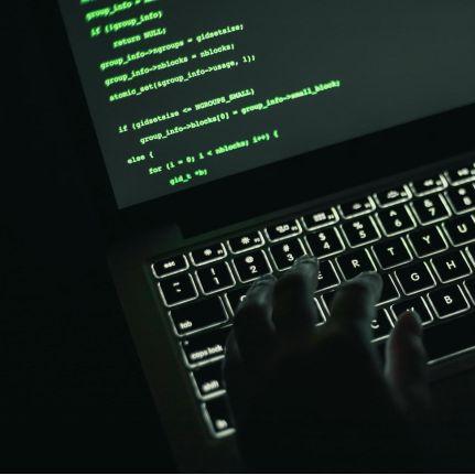 ссылка на omg omg